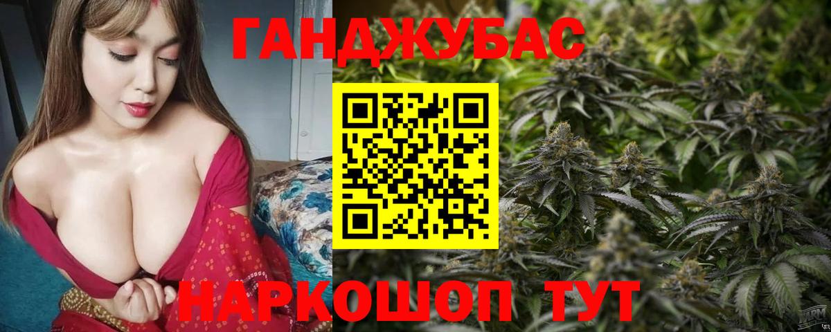 Каннабис сатива Губаха